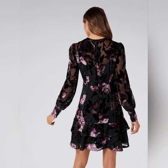 Forever New Burnout Velvet Dress - Picture 3 of 9